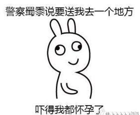  兔子打110表情包恶搞兔子打110表情图片浏览