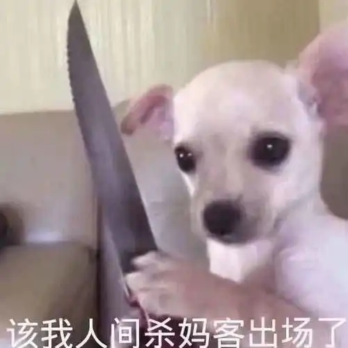  那些我在峡谷里嘴过的架