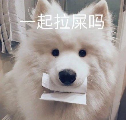  推荐8个奇奇怪怪的日常app,给无聊的生活增添一抹光亮