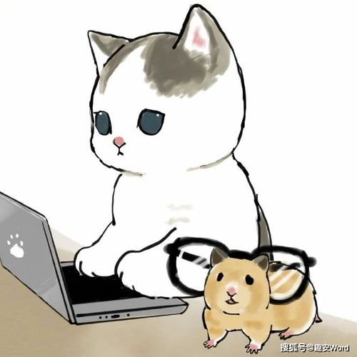  用漫画小猫来展示打工人的一天,又萌又真实