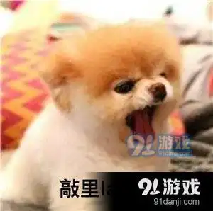  敲里吗敲里lailai表情包高清完整版安卓下载敲里吗敲里lailai表情包高清完整版下载91手游网
