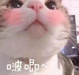 你是我情诗里念念不忘的每一行