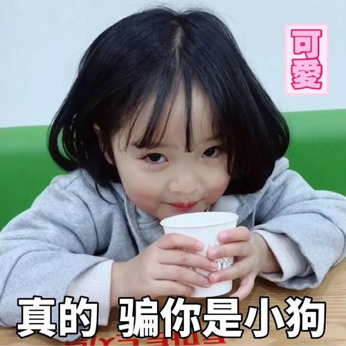 权律二哼表情包彩虹屁