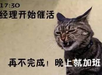  清明节后,第一天上班的莆田人一定是这样...