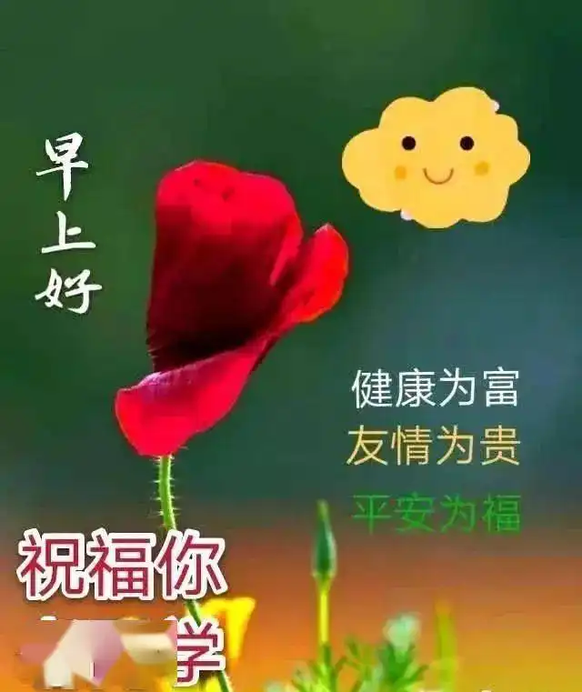  群发早上好表情包图片,人生感悟经典语录大全