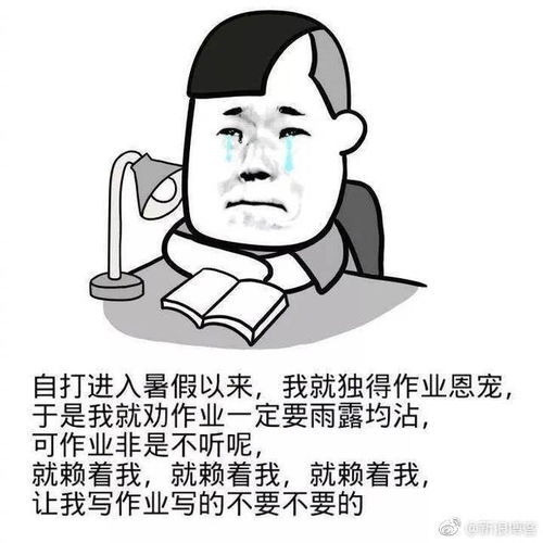 我作业写完了表情包作业