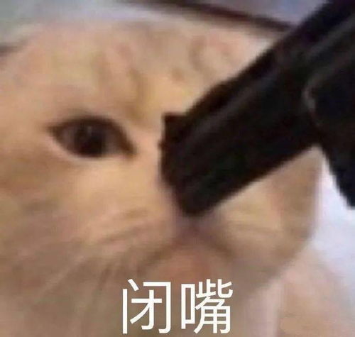 闭嘴的表情包大全
