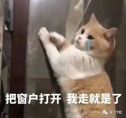  现在小朋友的语言密码有多难懂我突然看不懂中文了