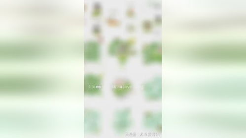  刘宇宁端午节放饭老大的端午表情包来了
