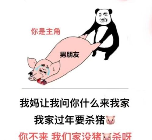  幽默搞笑表情包宝宝不会说我爱你不会说需要嘴对嘴教吗