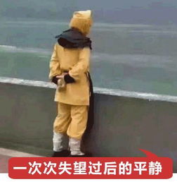 注意快递上发现这些内容,一定是卖家搞的鬼