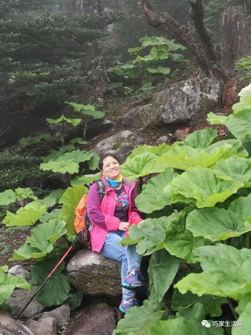  6月10日,巧家驴友群徒步螺髻山索玛花高山湖泊云海.....美美哒