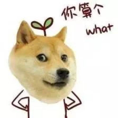  千万别被骗了,很多人都被这条微信消息蒙蔽了