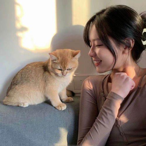  满眼皆是温柔甜美女头像