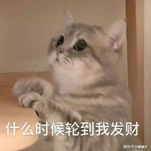  热门表情包图片我要,两个抱抱,两个亲亲