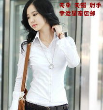  春装2013新款女衬衣休闲时尚修身长袖寸衫女士衬衫韩版chenshan女