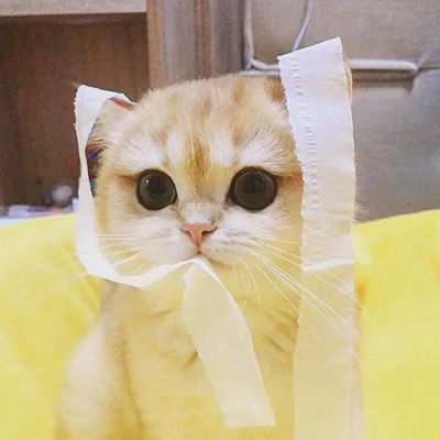 qq头像