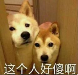 谁喝酒谁是狗表情包喝酒