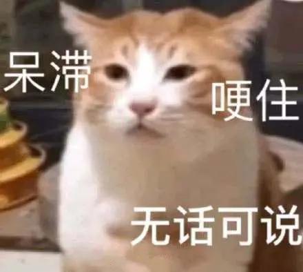  一期节目被骂上n个热搜,他这飞行嘉宾当的可真憋屈