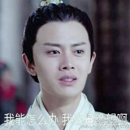  绿男子痴迷嫂子情人节因吵架要跳下18楼