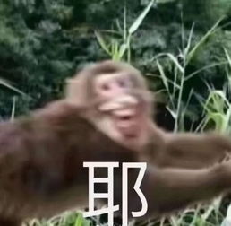  中一个都得死男生约会穿衣的8大雷区