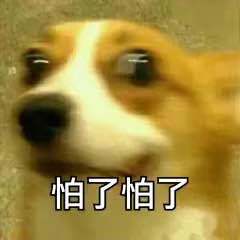  汪星人表情包合集恶龙咆哮,嗷呜