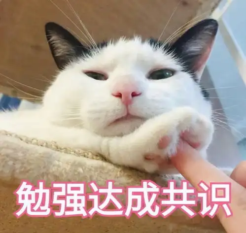  猫猫表情包我要把你摁在墙上,亲亲