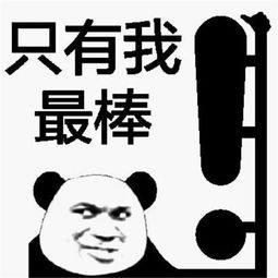  tom网清远市新华贵