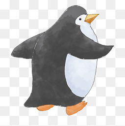  免费下载海洋企鹅图片大全千库网png