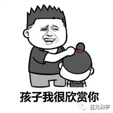 不是猝死是脱发表情包吹