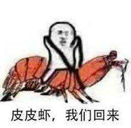  皮皮虾我们走无水印图片