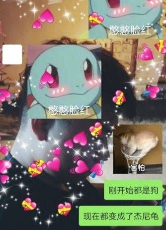  为什么说杰尼龟是天选憨憨杰尼龟为什么是憨比