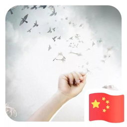  微信头像加国旗官方微信给不了的,青青给你