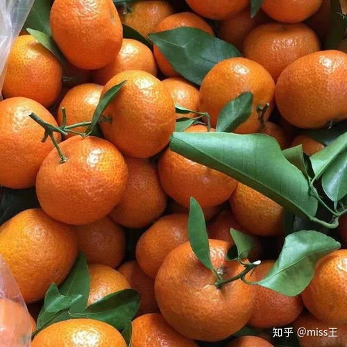  你是否会网购零食