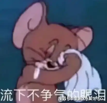  案例分析gpa不代表一切,她逆转申请劣势斩获梦校ntu