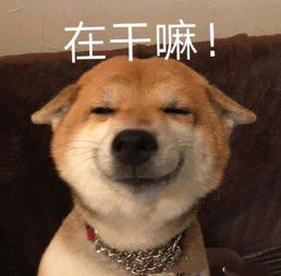  嘴角上扬的表情包我最期待的画面出现了