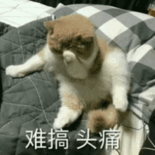  2019留学生落户北京新政策几个关键误区要注意了