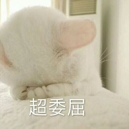  舍友的十种奇葩行为,哪种最让你讨厌