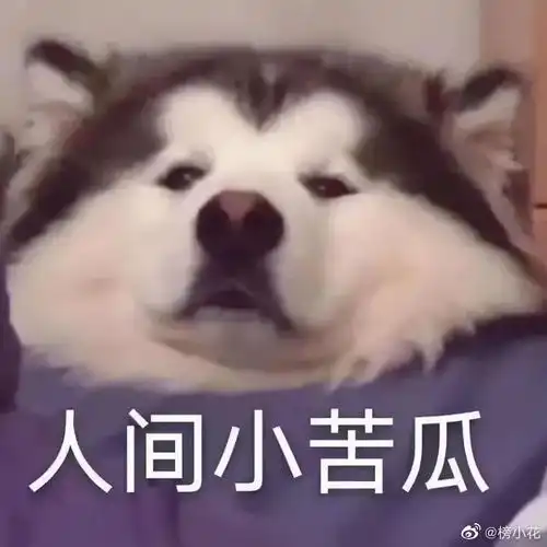  瑟庄妮是啥意思