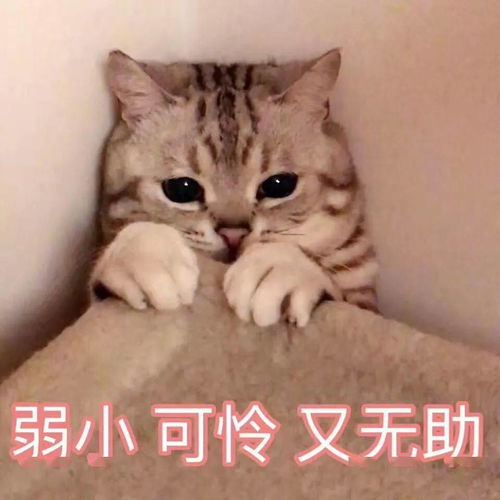  期末来了,教你一招,帮孩子考个好成绩