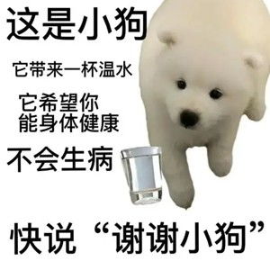  抖音谢谢小狗表情包有哪些谢谢小狗表情包分享咖绿茵手游站