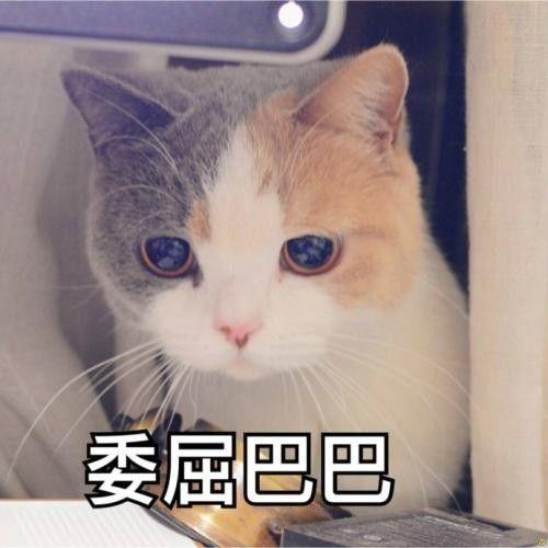  这些你都不知道,年华当然太容易老去了