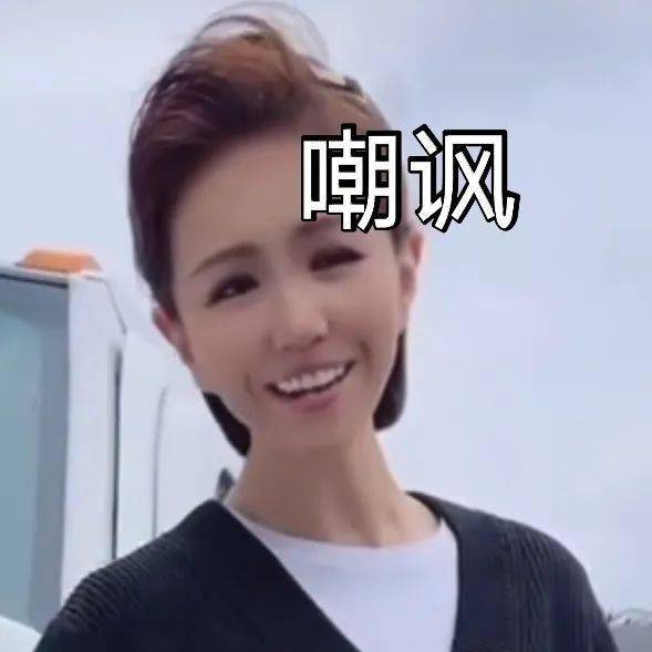  美有姬表情包
