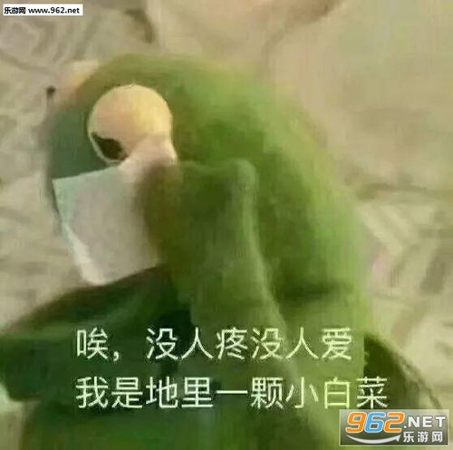  快乐是你们的我什么都没有表情包开始动怒图片下载乐游网游戏下载