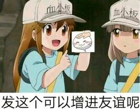  火影忍者摸头表情包