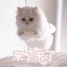  五一出游银座买单1元买大牌,各种剁手价,银行活动满100减30元现在开始