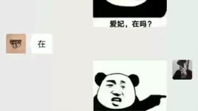  手机比我好玩表情包,撩妹表情包,憨憨好图