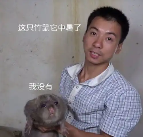 华农兄弟表情包中暑花鼠