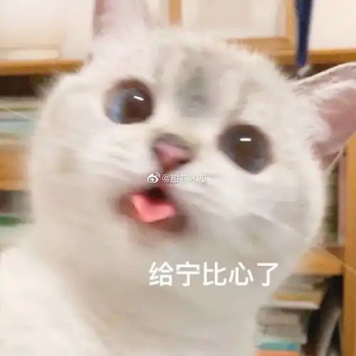 亲亲表情包真人头像