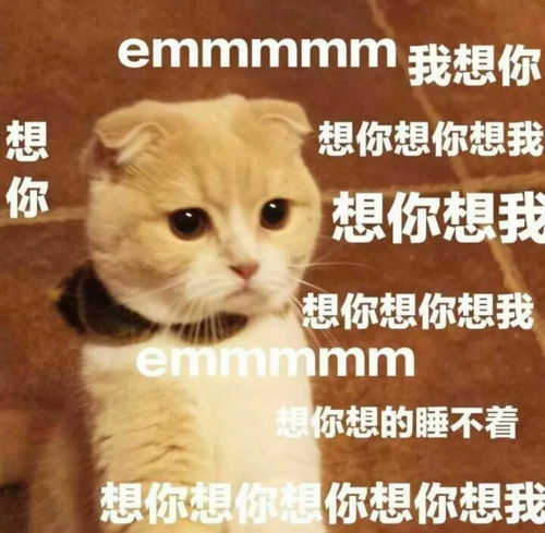 最火表情包全套想你